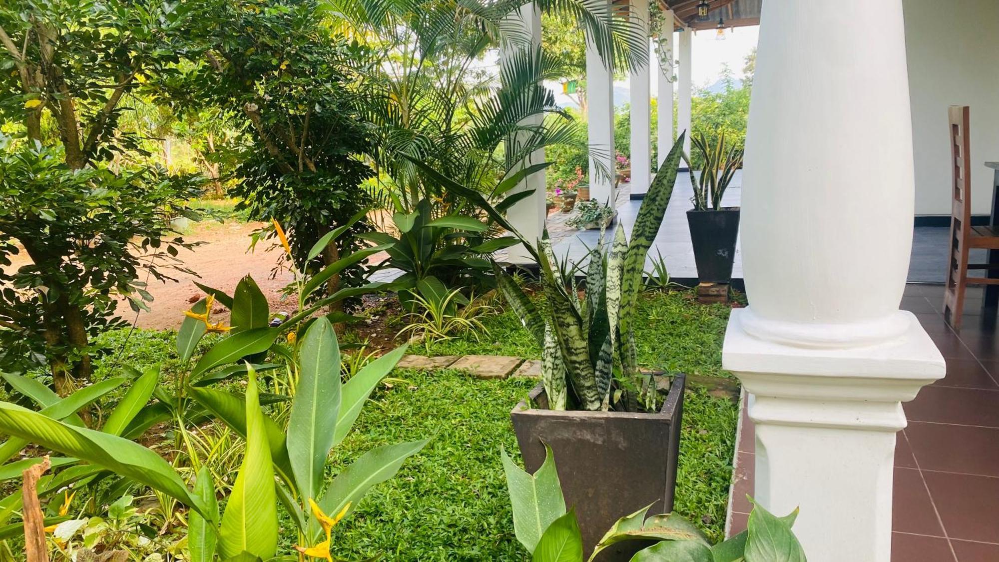 Fairview Dill Homestay Sigiriya Exterior photo