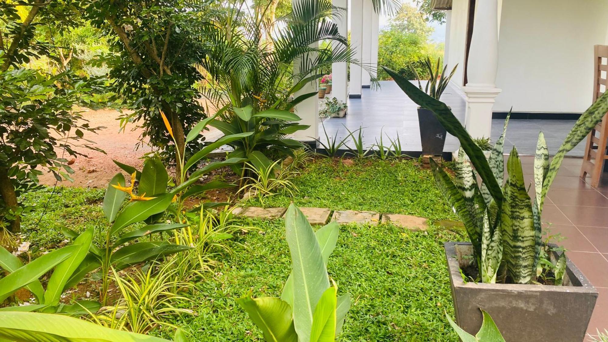 Fairview Dill Homestay Sigiriya Exterior photo
